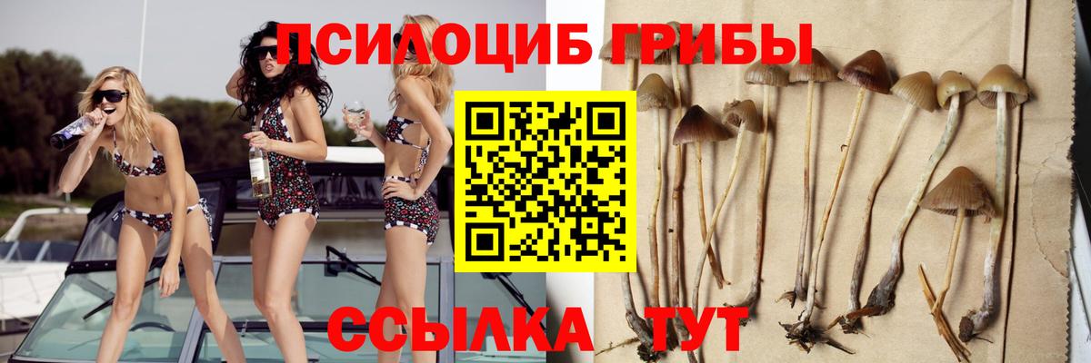 Псилоцибиновые грибы Cubensis  Вход с VPN  Торжок 